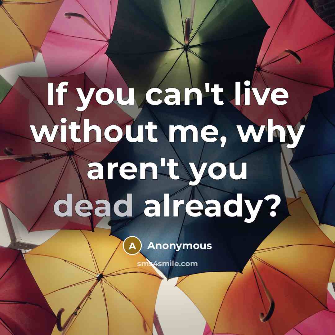 “If you can't live without me, why aren't you dead…” quote by Anonymous