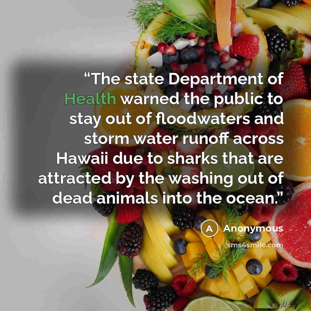 “The state Department of Health warned the public to stay out of floodwaters and storm water runoff across Hawaii due to sharks that are attracted by the washing out of dead animals into the ocean.” quote by Anonymous