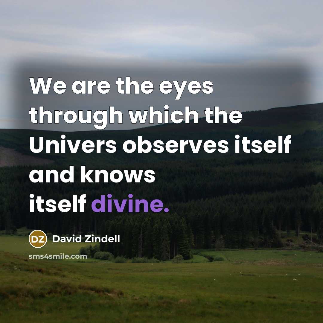 “We are the eyes through which the Univers observes itself…” quote by David Zindell