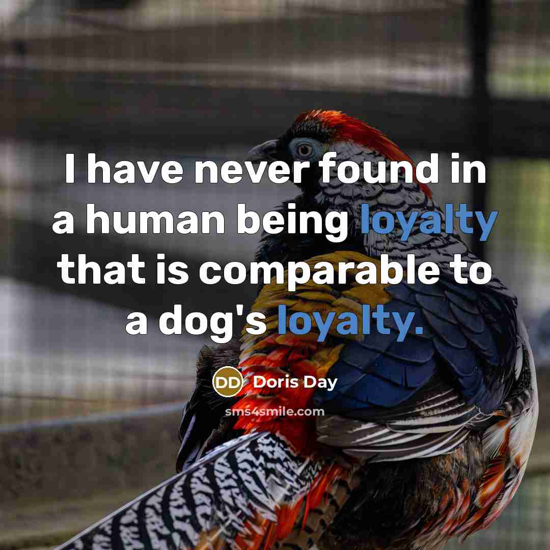 “I have never found in a human being loyalty that is comparable to a dog's loyalty.” quote by Doris Day