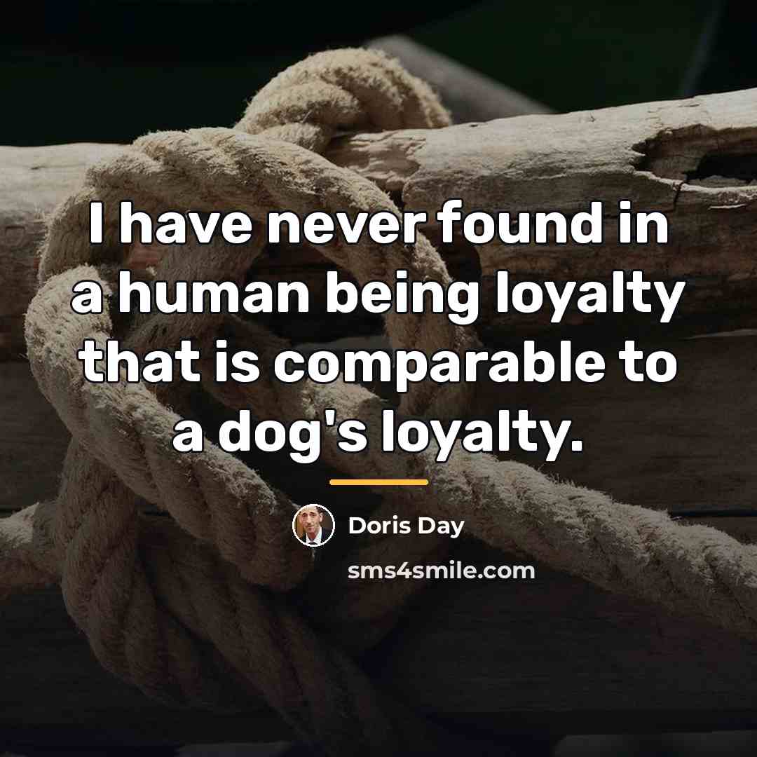 “I have never found in a human being loyalty that…” quote by Doris Day