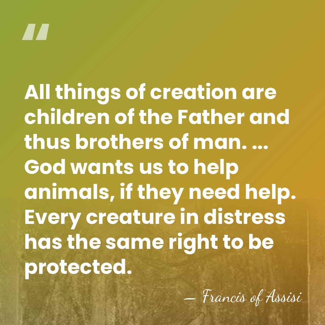 All things of creation are children of the Father and thus brothers&hellip; - Francis of Assisi