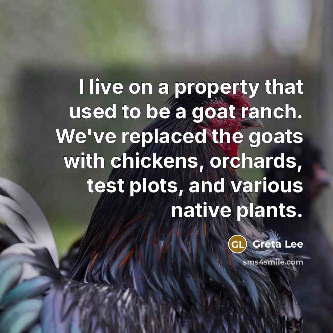 “I live on a property that used to be a…” quote by Greta Lee