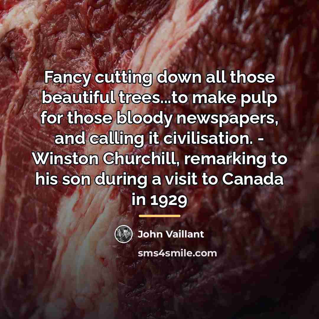 “Fancy cutting down all those beautiful trees...to make pulp for…” quote by John Vaillant