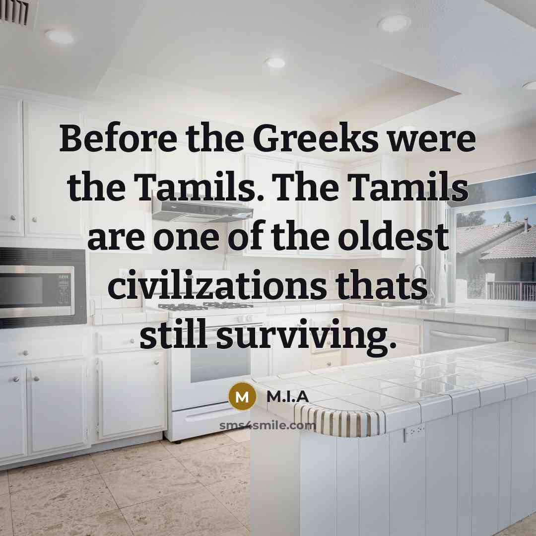 “Before the Greeks were the Tamils. The Tamils are one…” quote by M.I.A
