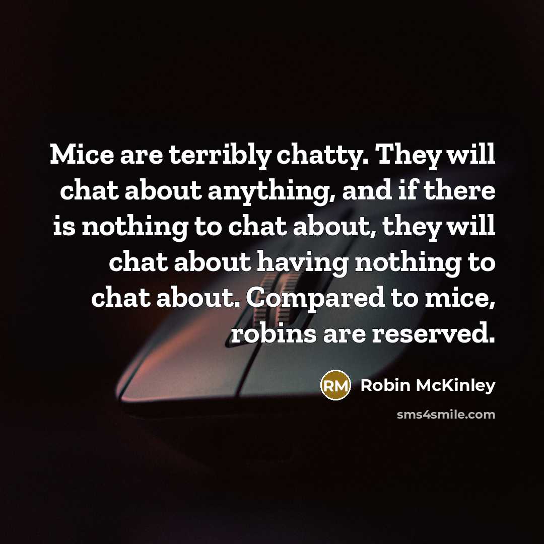 “Mice are terribly chatty. They will chat about anything, and…” quote by Robin McKinley