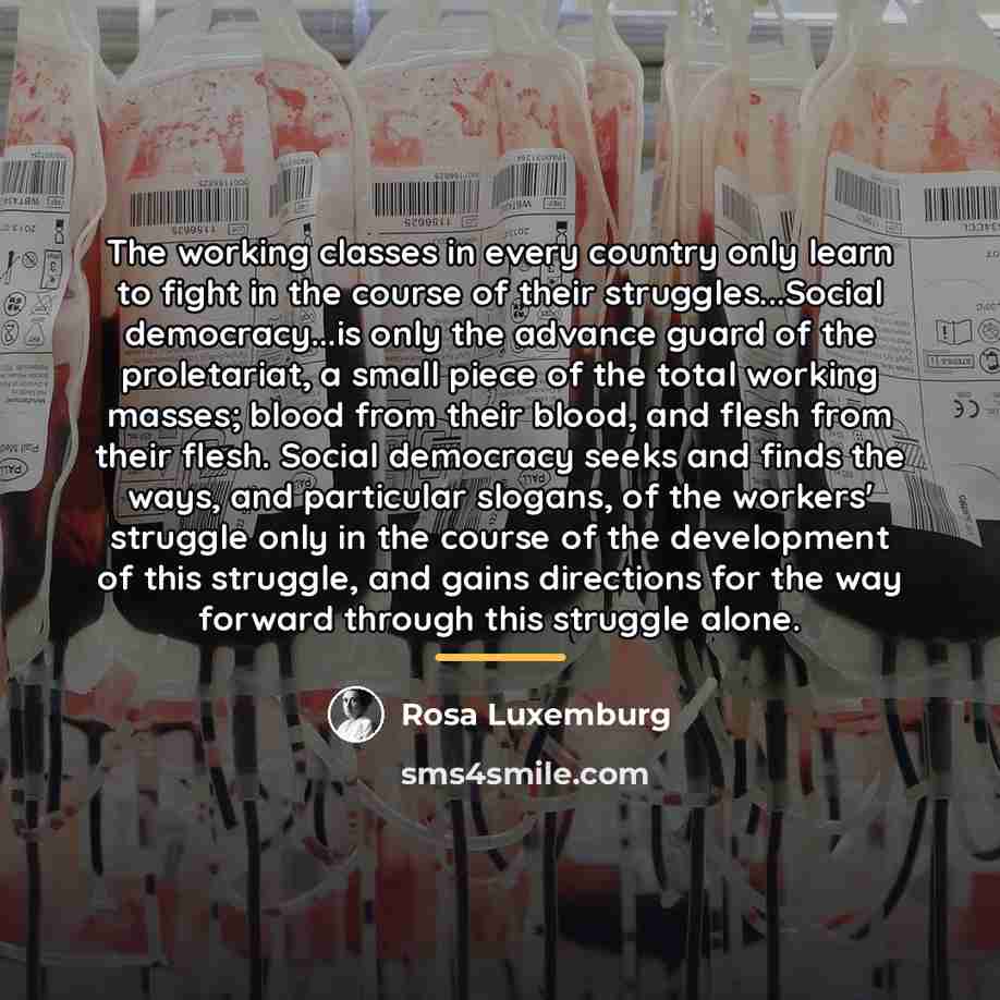“The working classes in every country only learn to fight…” quote by Rosa Luxemburg