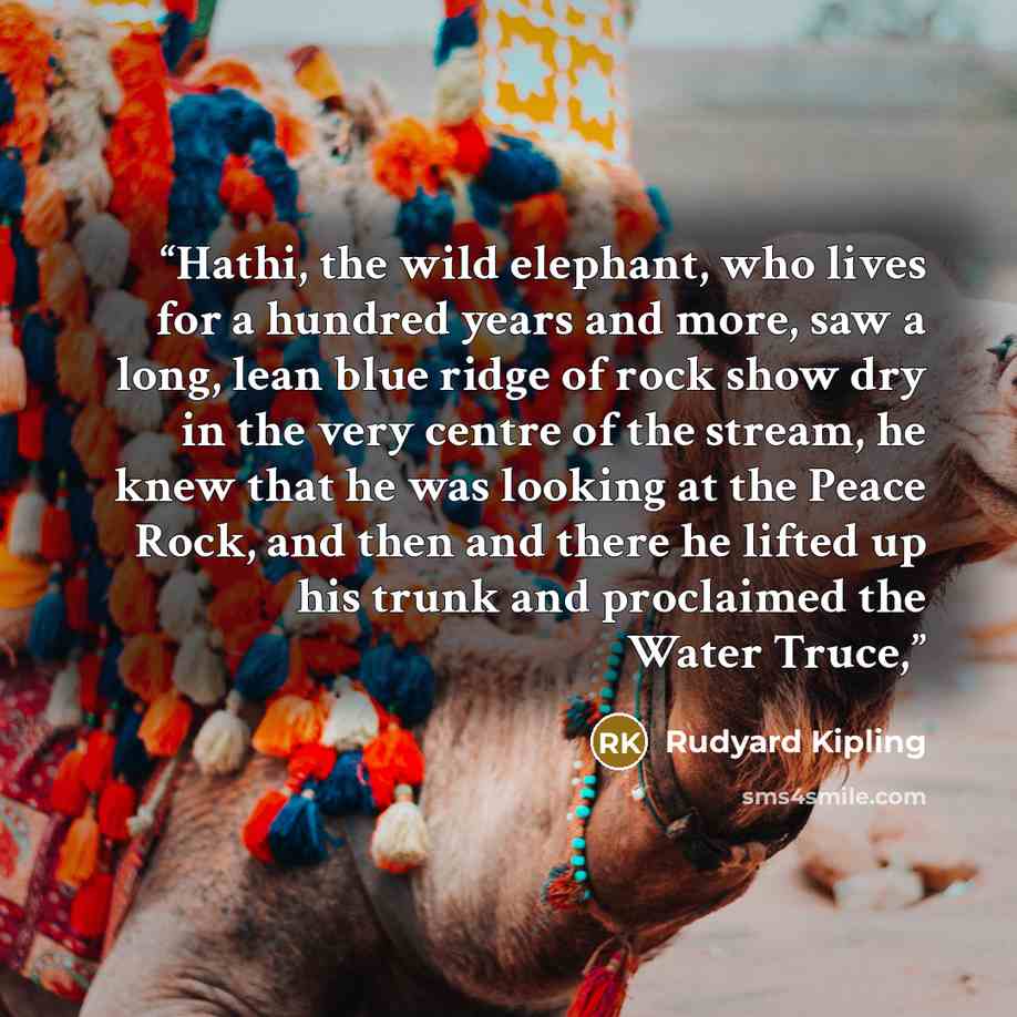 “Hathi, the wild elephant, who lives for a hundred years and more, saw a long, lean blue ridge of rock show dry in the very centre of the stream, he knew that he was looking at the Peace Rock, and then and there he lifted up his trunk and proclaimed the Water Truce,” quote by Rudyard Kipling