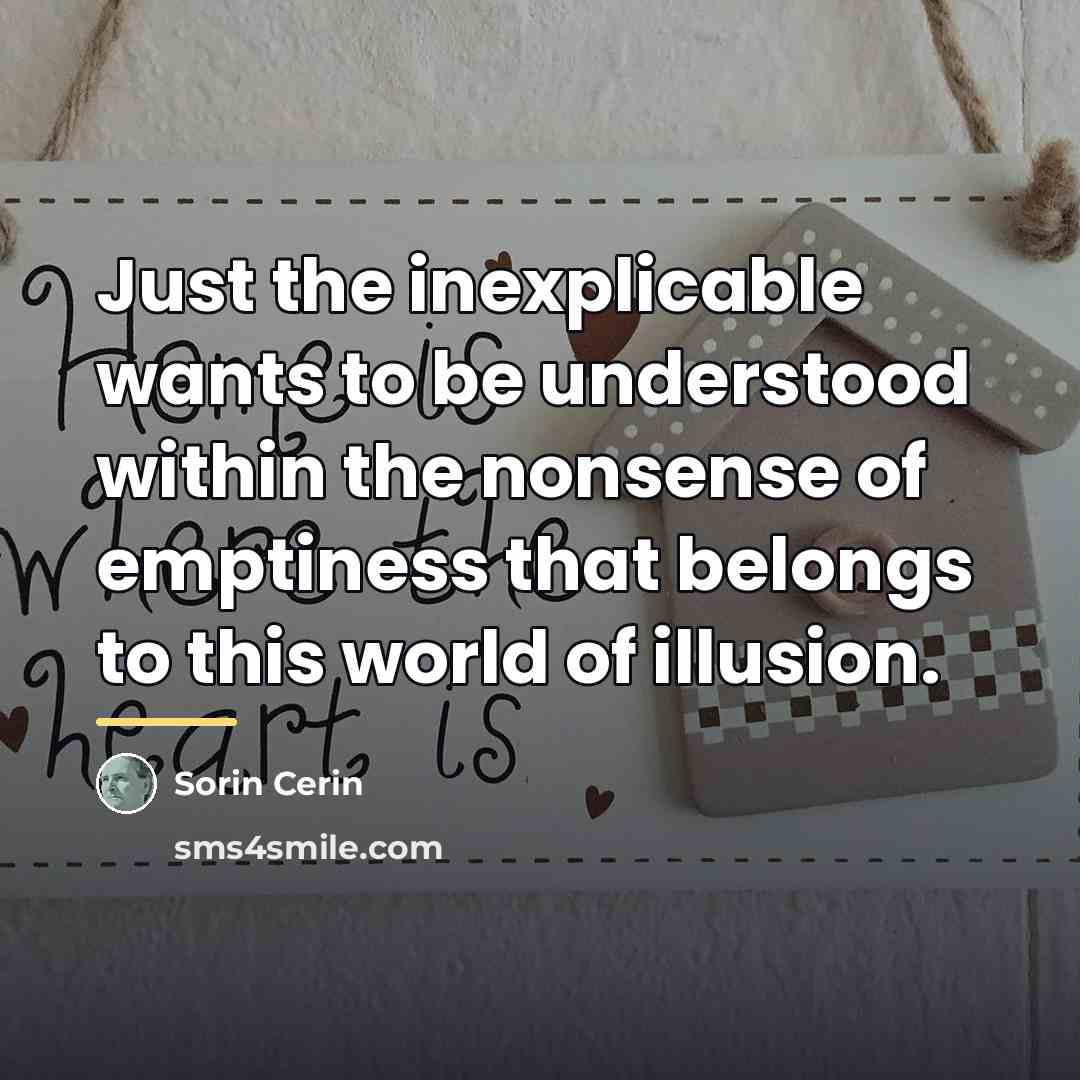 “Just the inexplicable wants to be understood within the nonsense…” quote by Sorin Cerin