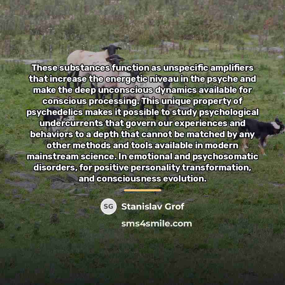 “These substances function as unspecific amplifiers that increase the energetic…” quote by Stanislav Grof