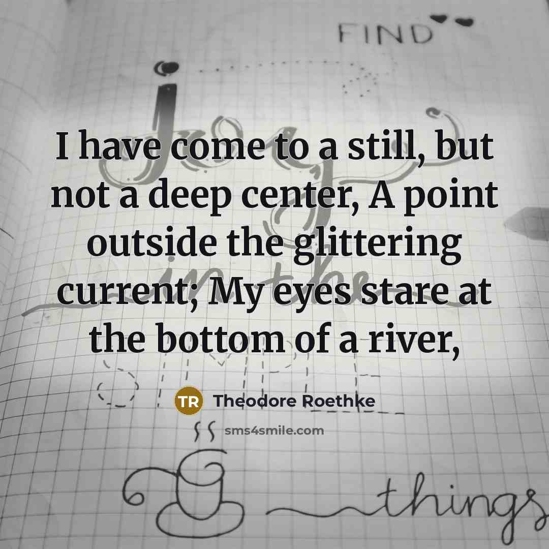 “I have come to a still, but not a deep…” quote by Theodore Roethke