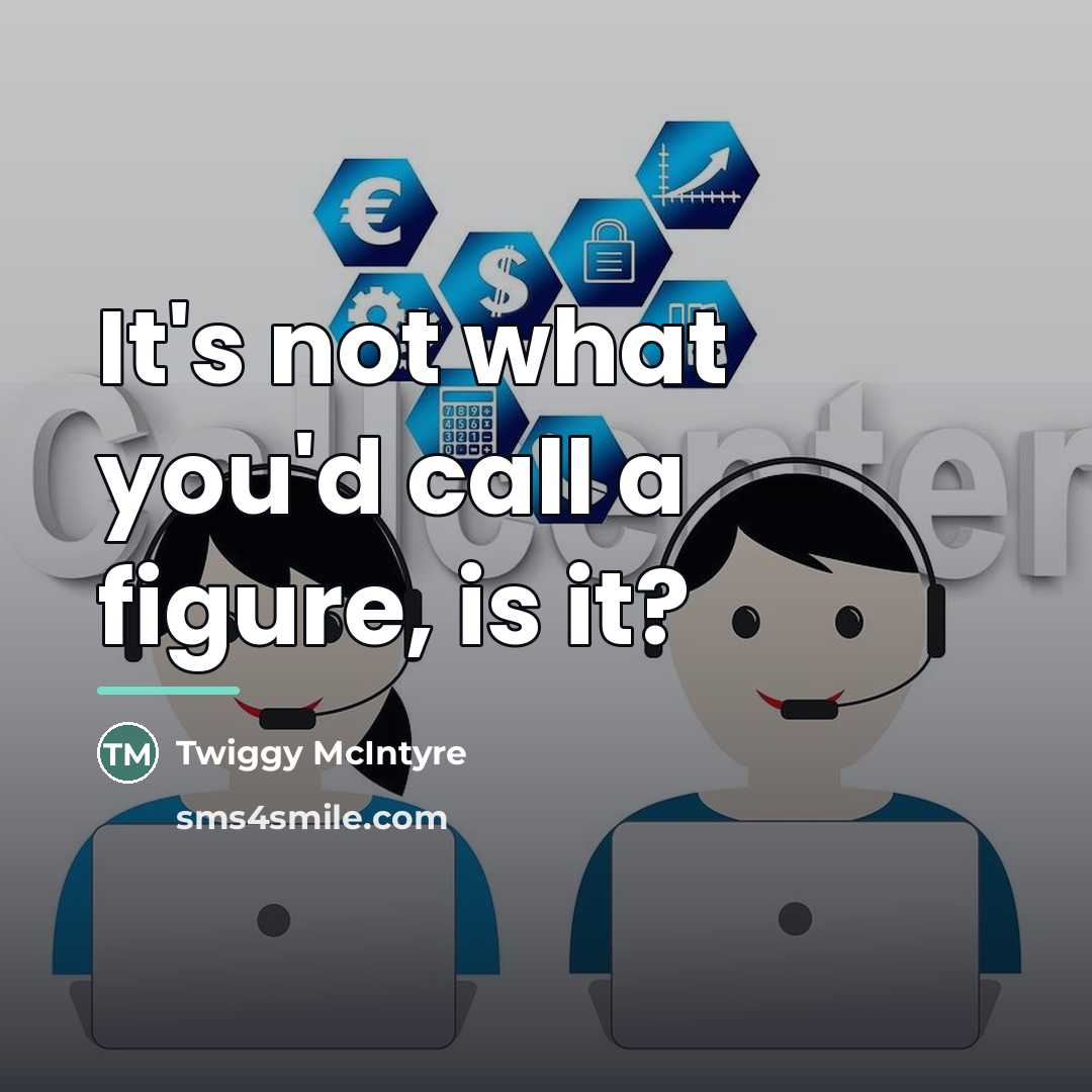 “It's not what you'd call a figure, is it?…” quote by Twiggy McIntyre