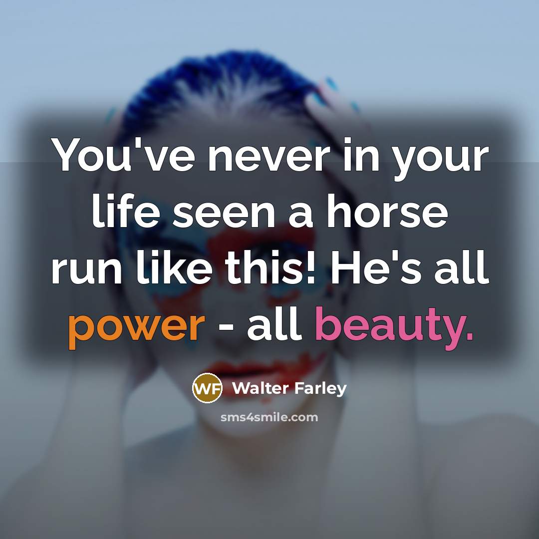 “You've never in your life seen a horse run like…” quote by Walter Farley