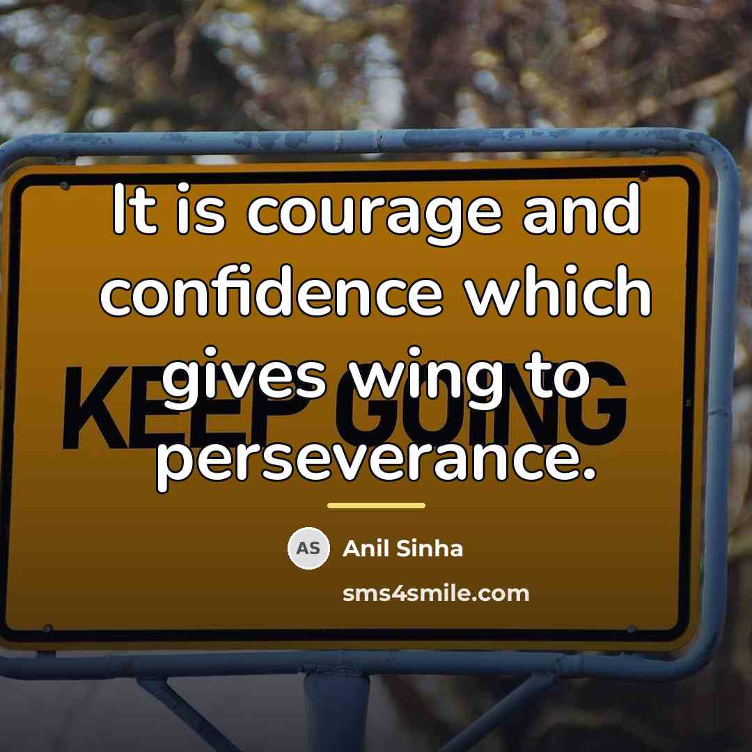 “It is courage and confidence which gives wing to perseverance.…” quote by Anil Sinha
