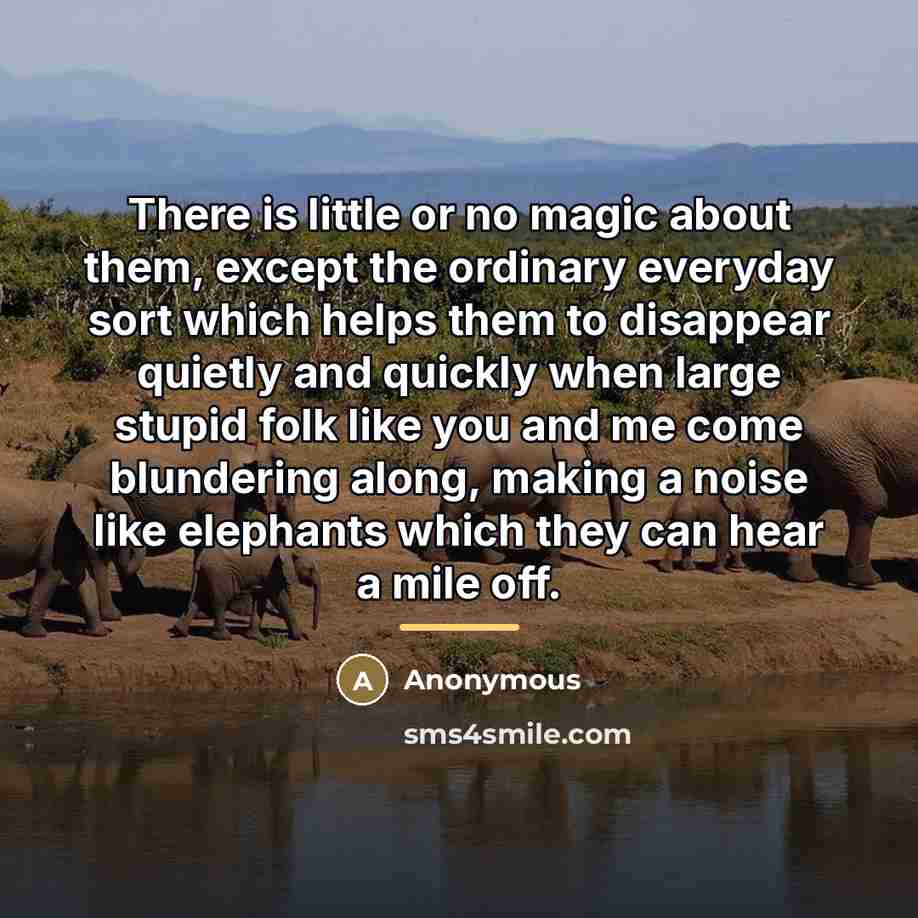 “There is little or no magic about them, except the…” quote by Anonymous
