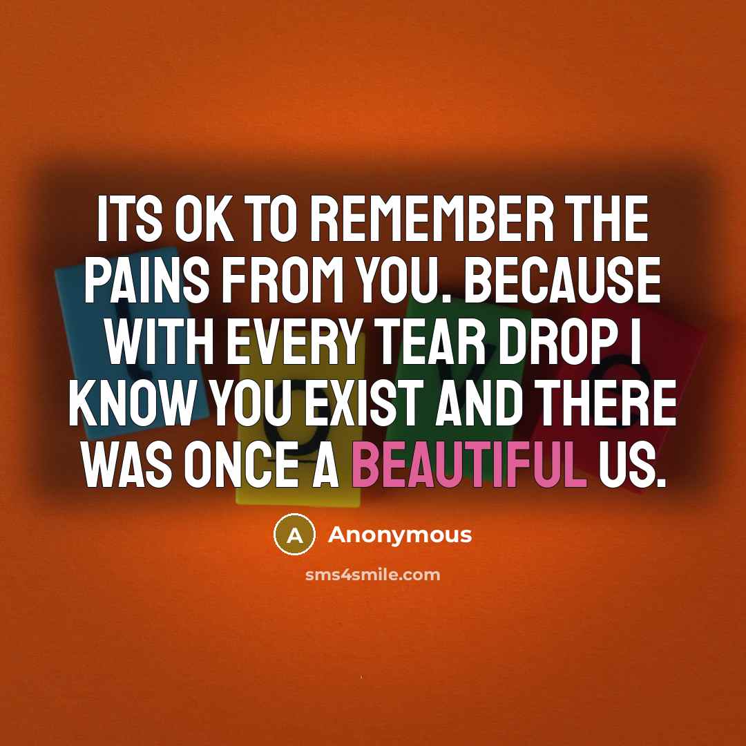 “Its ok to remember the pains from you. Because with every tear drop I know you exist and there was once a beautiful us.” quote by Anonymous