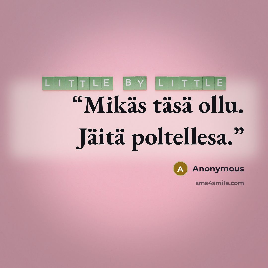 “Mikäs täsä ollu. Jäitä poltellesa.” quote by Anonymous