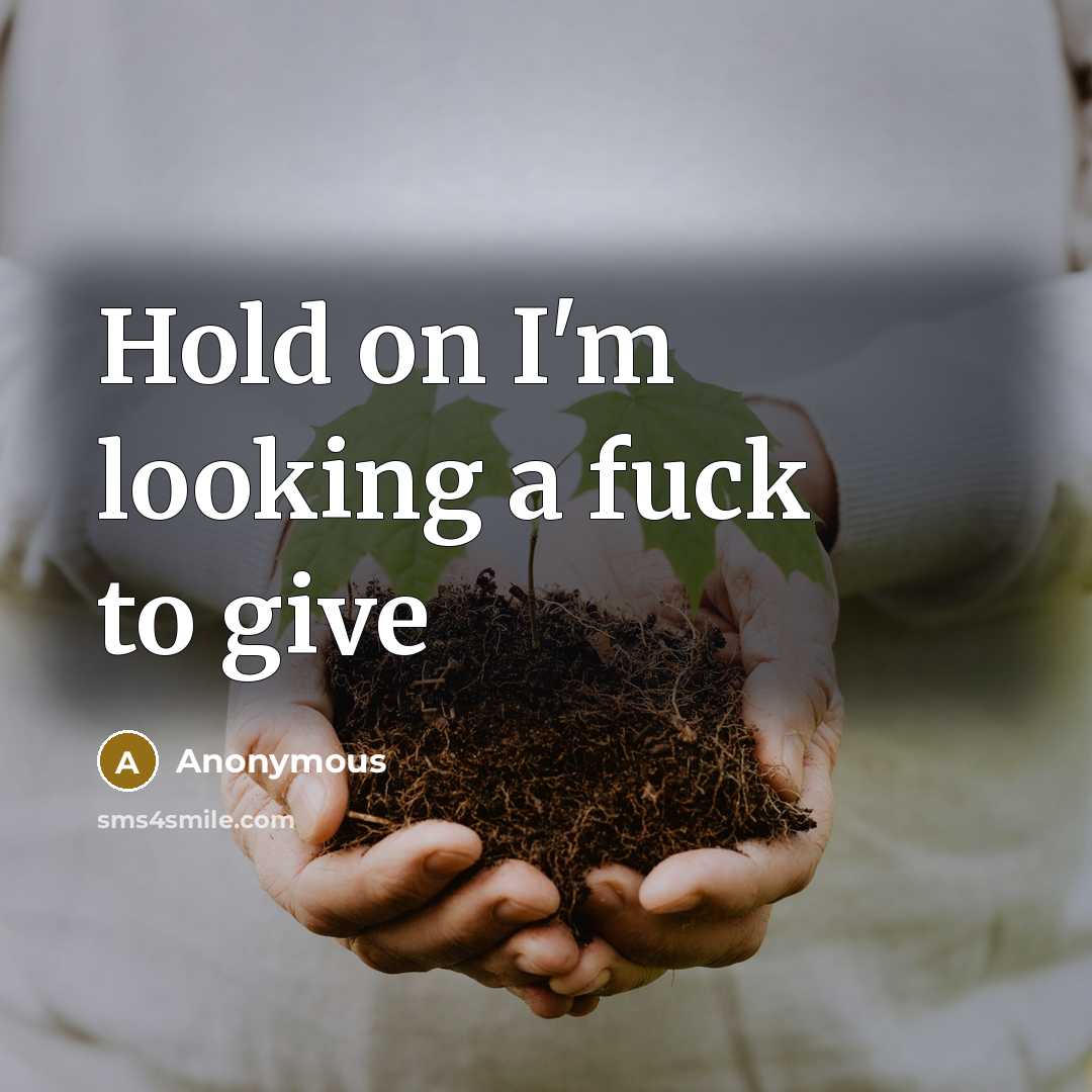 “Hold on I'm looking a fuck to give…” quote by Anonymous