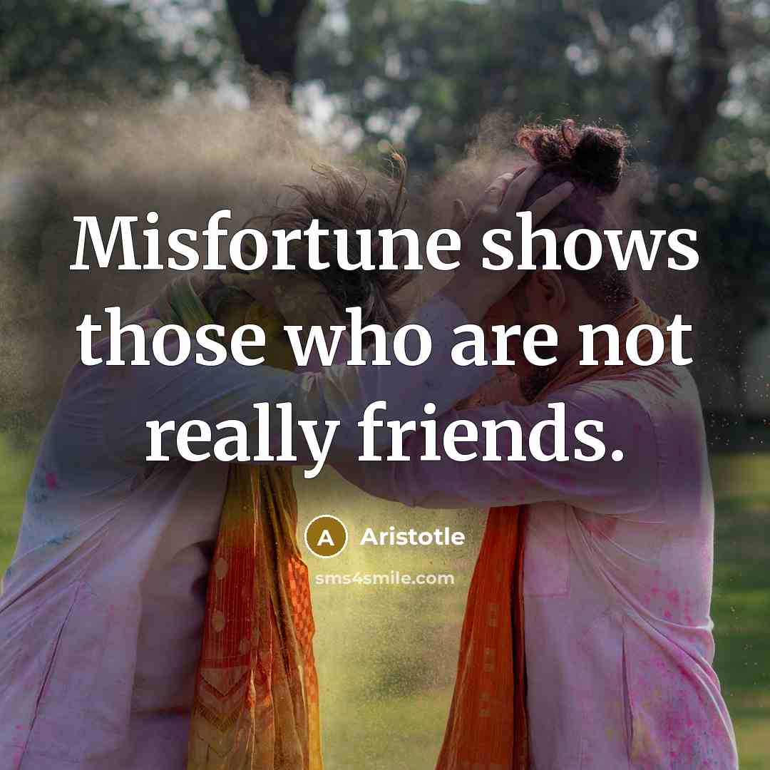 “Misfortune shows those who are not really friends.…” quote by Aristotle