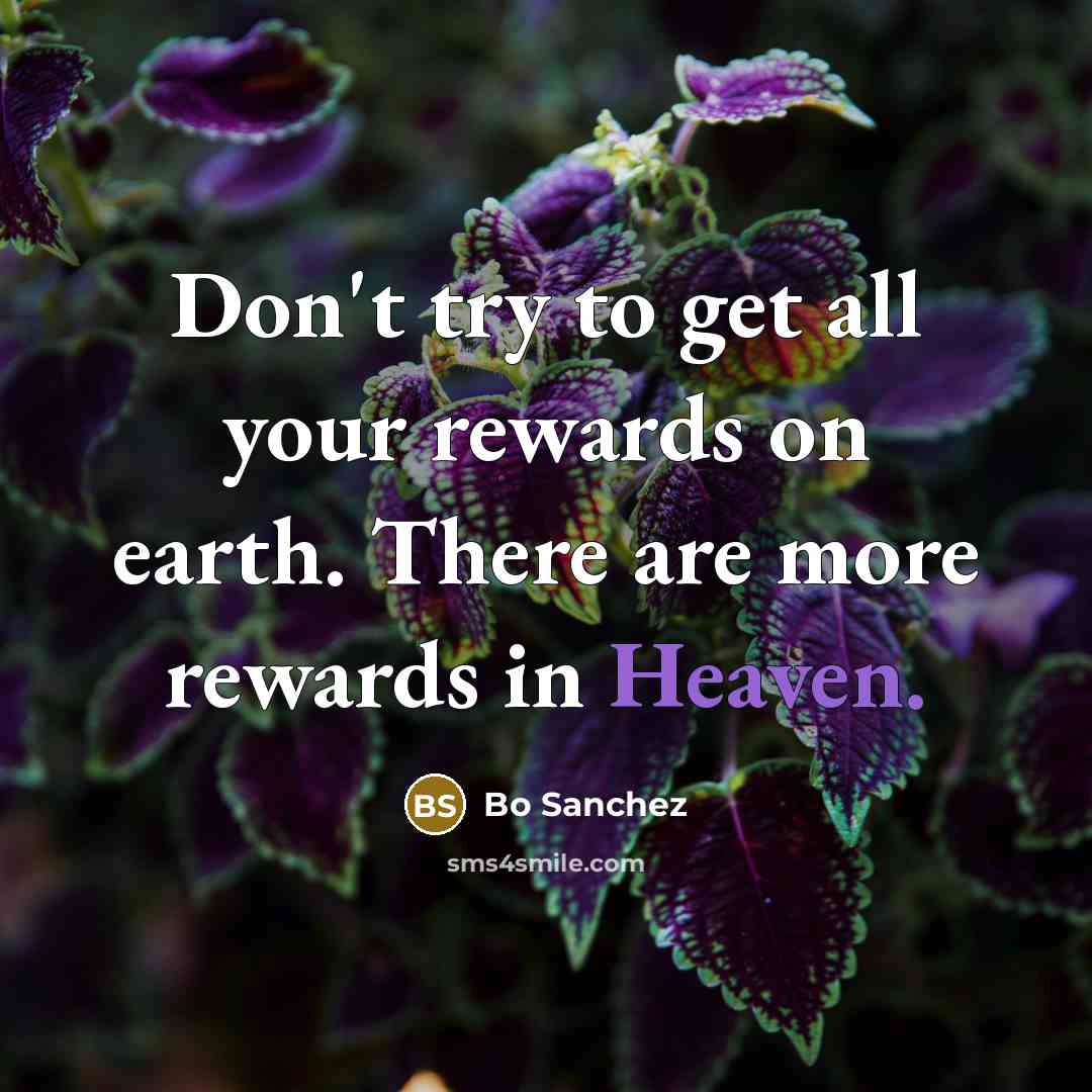 “Don't try to get all your rewards on earth. There…” quote by Bo Sanchez