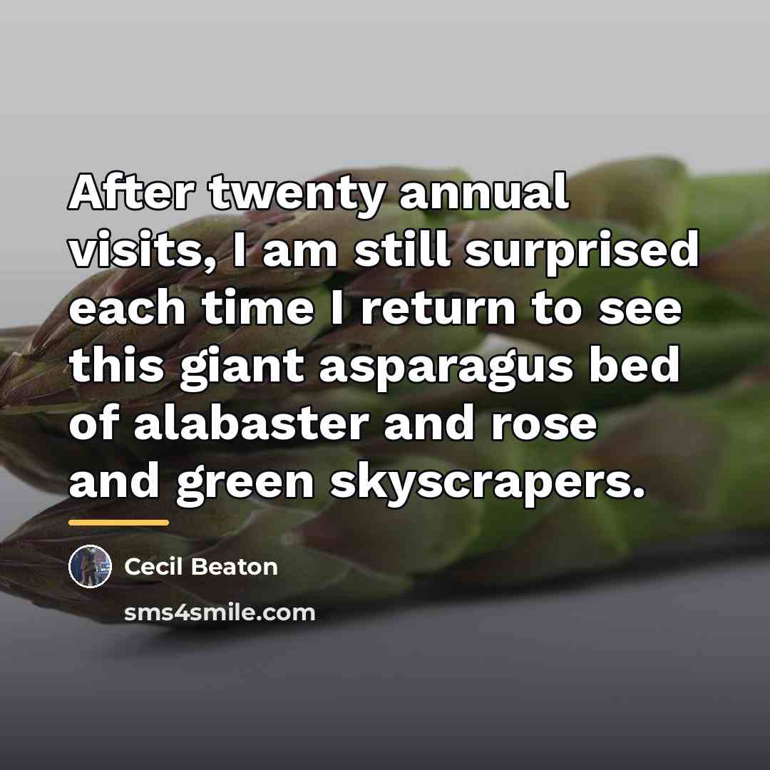“After twenty annual visits, I am still surprised each time…” quote by Cecil Beaton