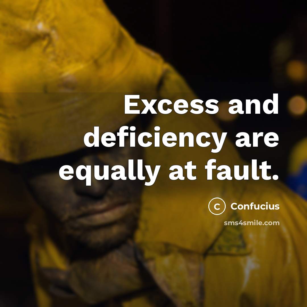 “Excess and deficiency are equally at fault.…” quote by Confucius
