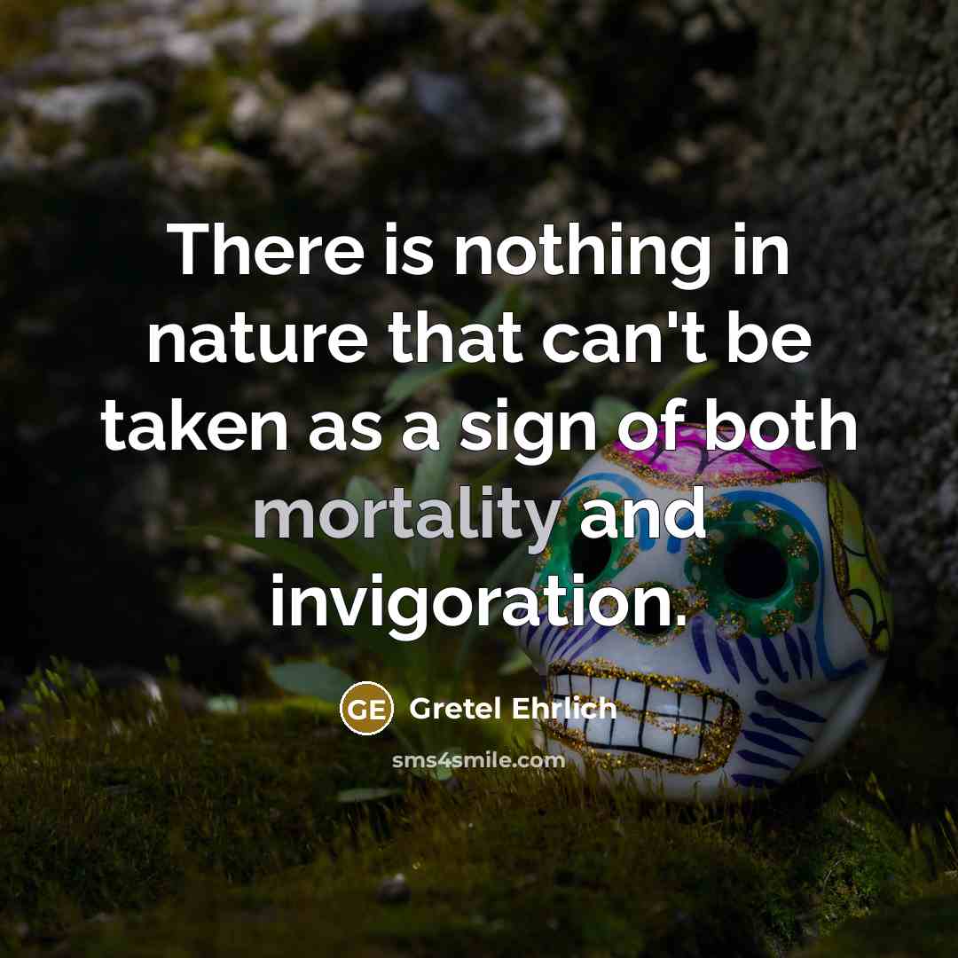 “There is nothing in nature that can't be taken as…” quote by Gretel Ehrlich