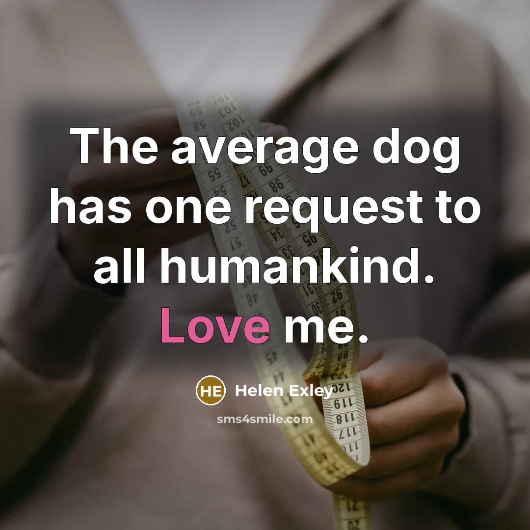 “The average dog has one request to all humankind. Love…” quote by Helen Exley