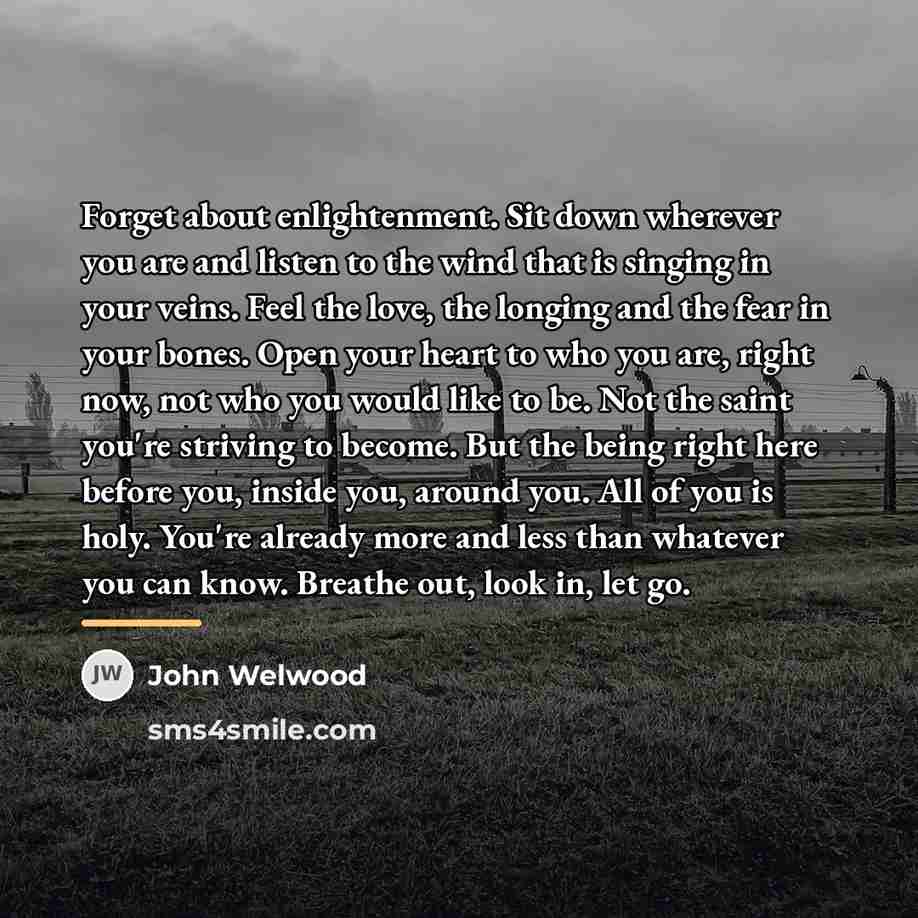 “Forget about enlightenment. Sit down wherever you are and listen…” quote by John Welwood