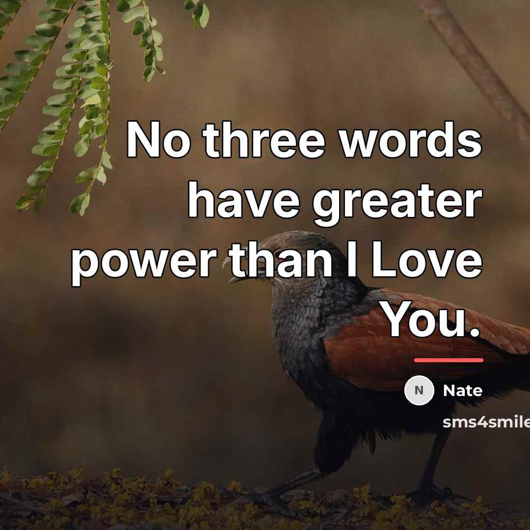 “No three words have greater power than I Love You.…” quote by Nate