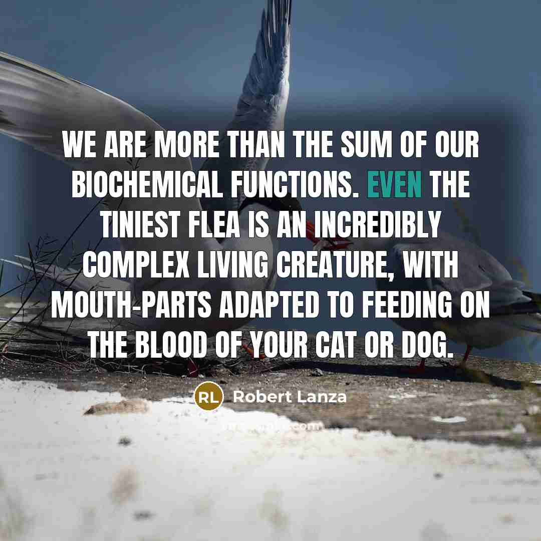 “We are more than the sum of our biochemical functions.…” quote by Robert Lanza