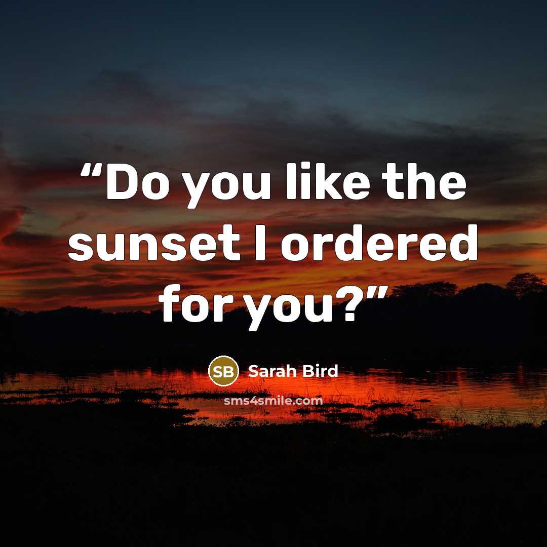 “Do you like the sunset I ordered for you?” quote by Sarah Bird
