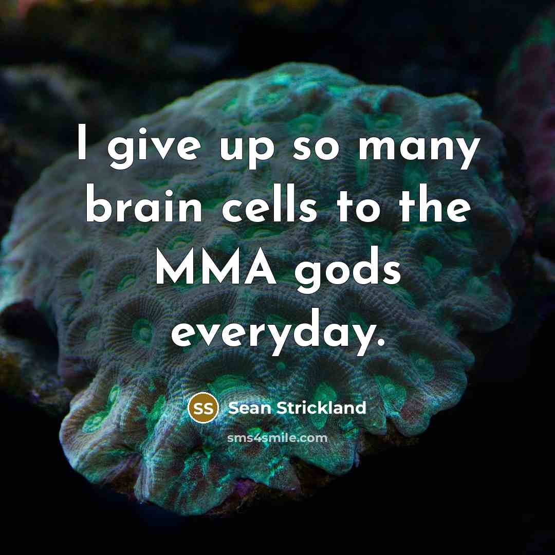 “I give up so many brain cells to the MMA…” quote by Sean Strickland