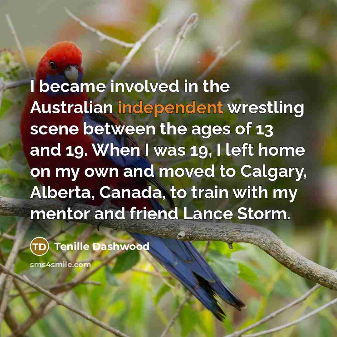 “I became involved in the Australian independent wrestling scene between…” quote by Tenille Dashwood