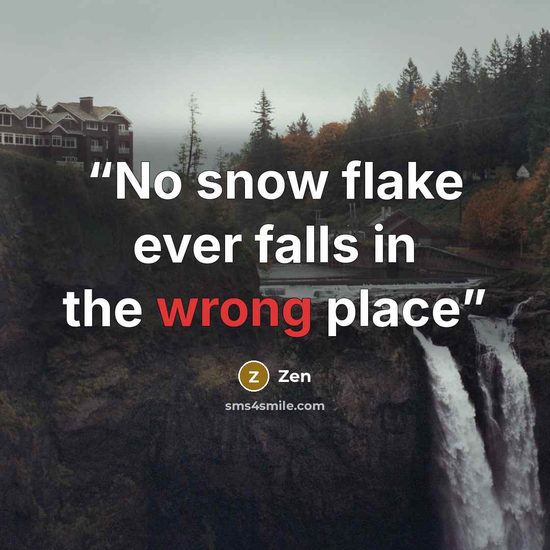 “No snow flake ever falls in the wrong place” quote by zen