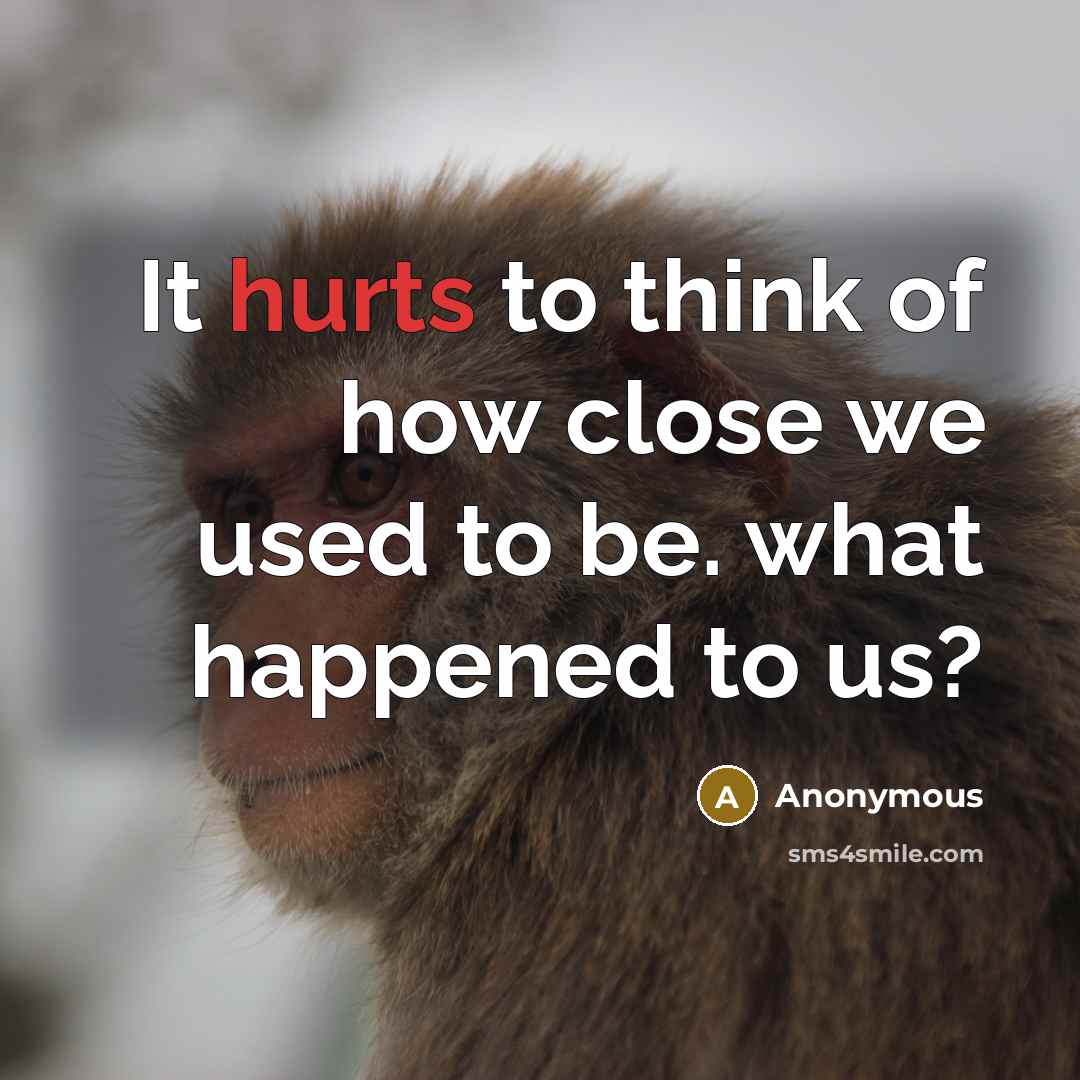 “It hurts to think of how close we used to be. what happened to us?” quote by Anonymous
