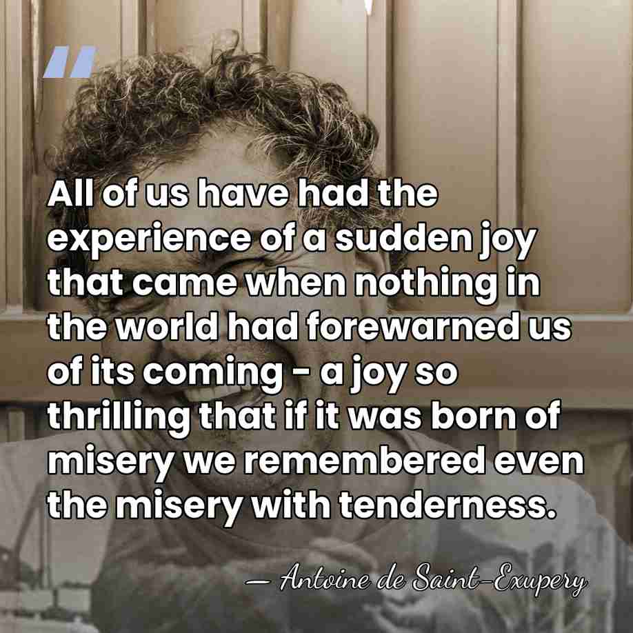 All of us have had the experience of a sudden joy that&hellip; - Antoine de Saint-Exupery