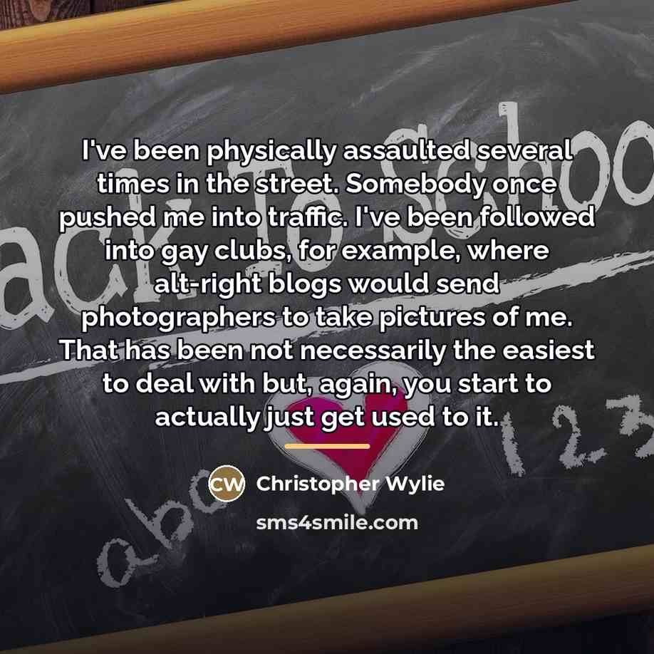 “I've been physically assaulted several times in the street. Somebody…” quote by Christopher Wylie