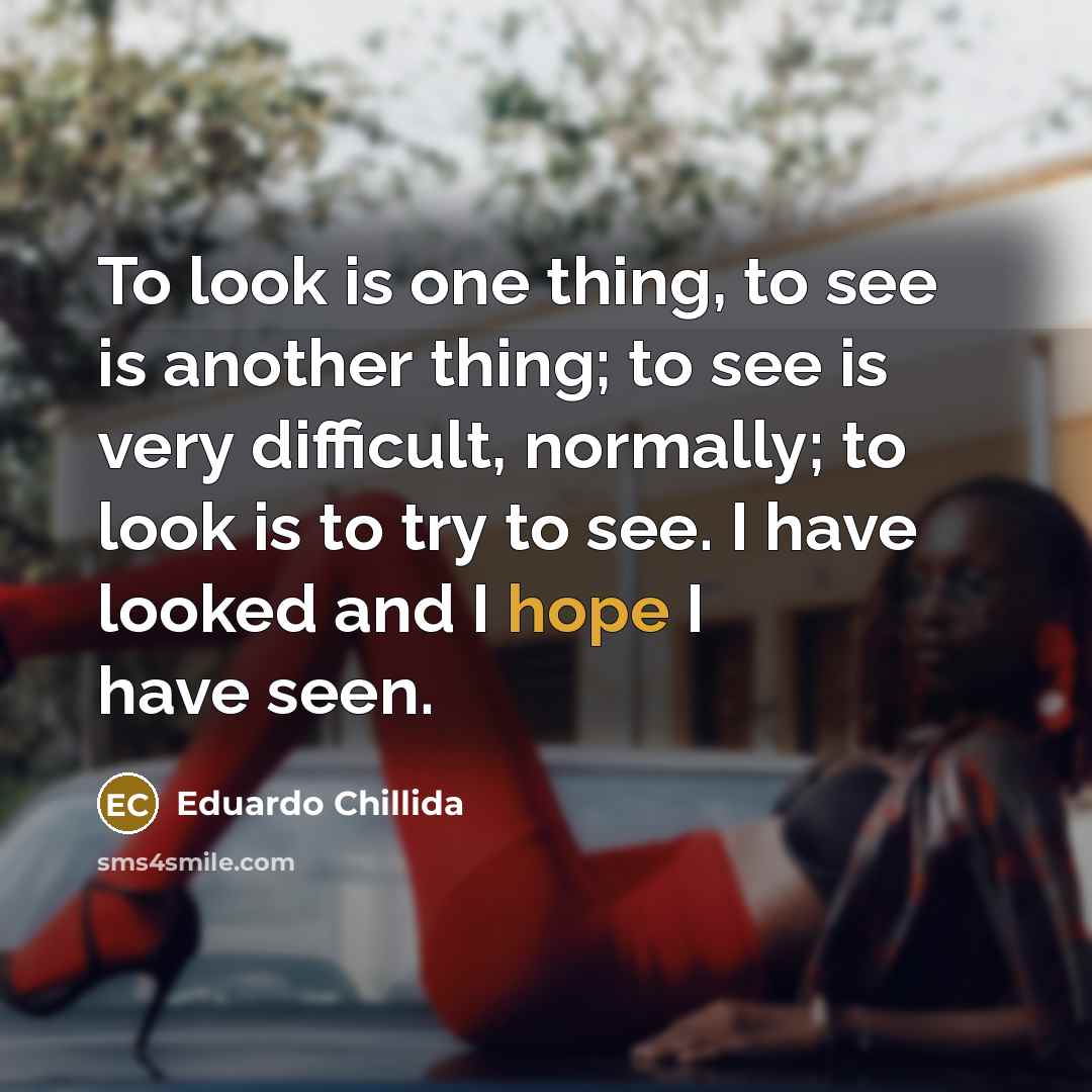 “To look is one thing, to see is another thing;…” quote by Eduardo Chillida