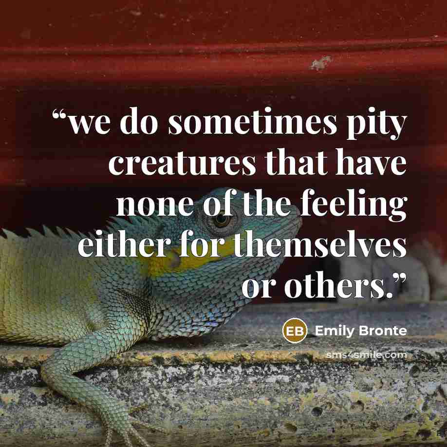 “we do sometimes pity creatures that have none of the feeling either for themselves or others.” quote by Emily Brontë