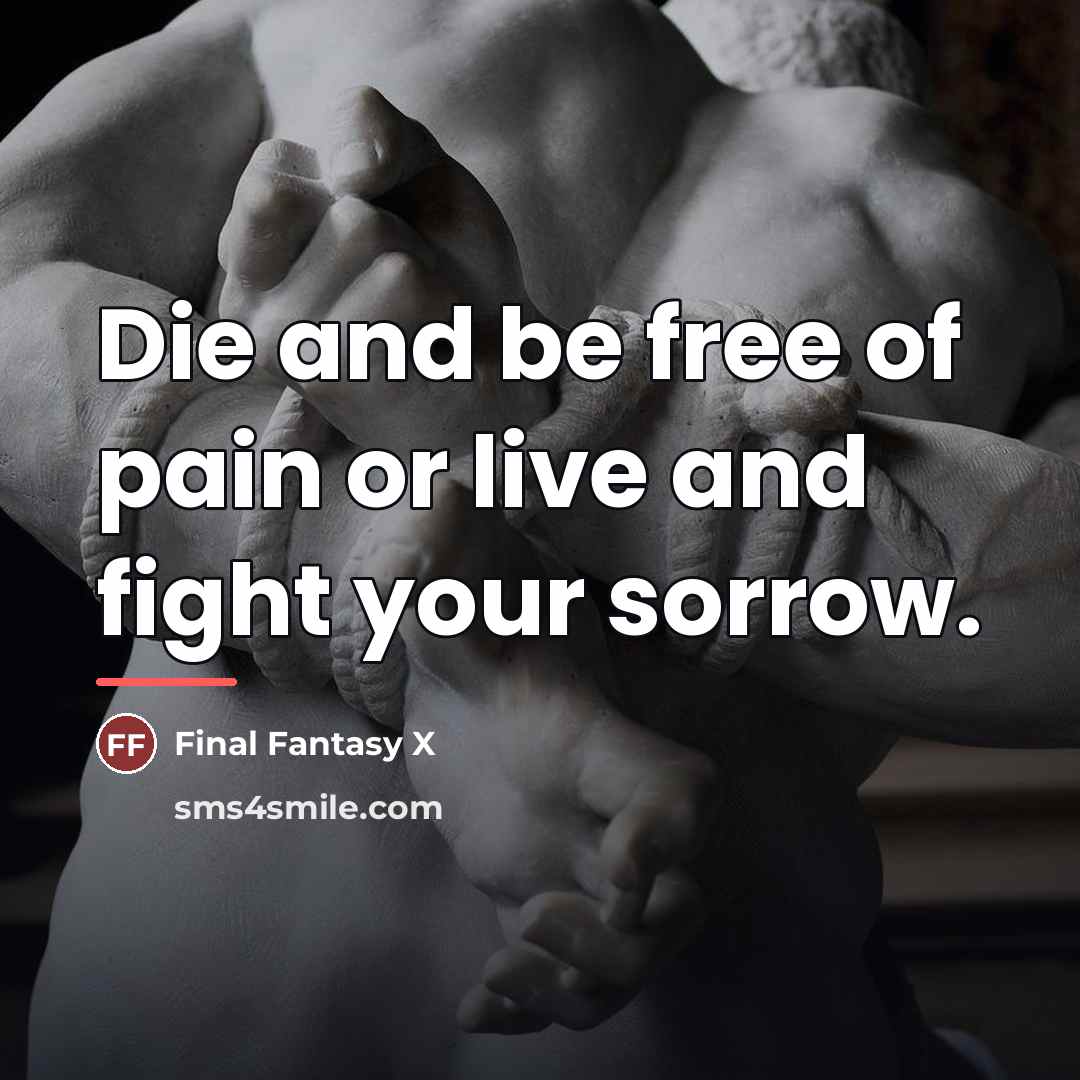 “Die and be free of pain or live and fight…” quote by Final Fantasy X