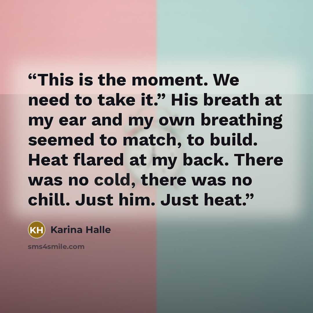 “This is the moment. We need to take it.” His breath at my ear and my own breathing seemed to match, to build. Heat flared at my back. There was no cold, there was no chill. Just him. Just heat.” quote by Karina Halle