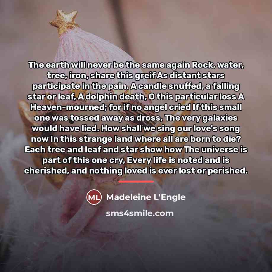 “The earth will never be the same again Rock, water,…” quote by Madeleine L'Engle