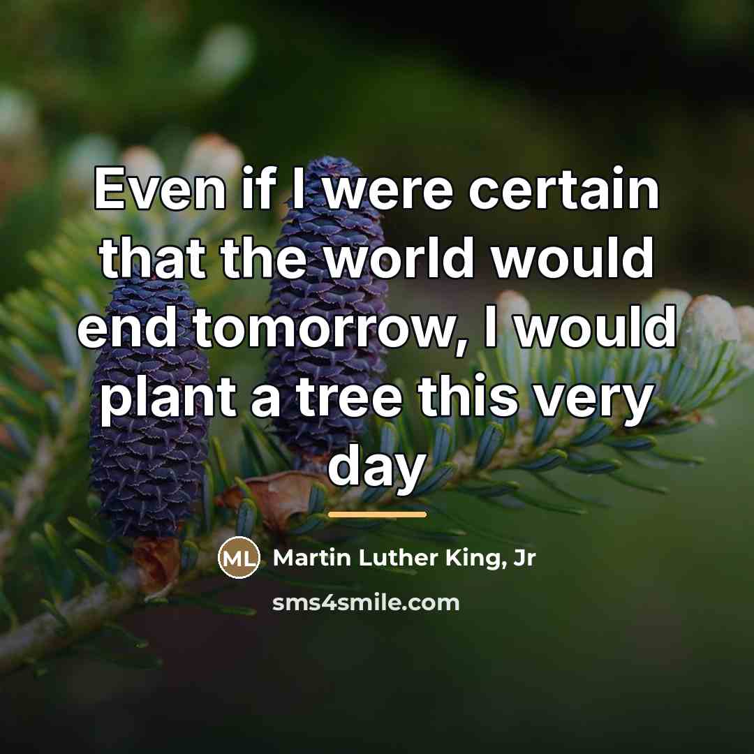 “Even if I were certain that the world would end…” quote by Martin Luther King, Jr
