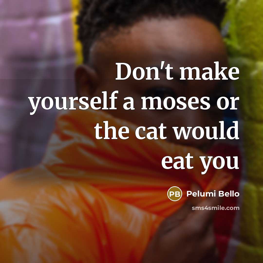 “Don't make yourself a moses or the cat would eat…” quote by Pelumi Bello
