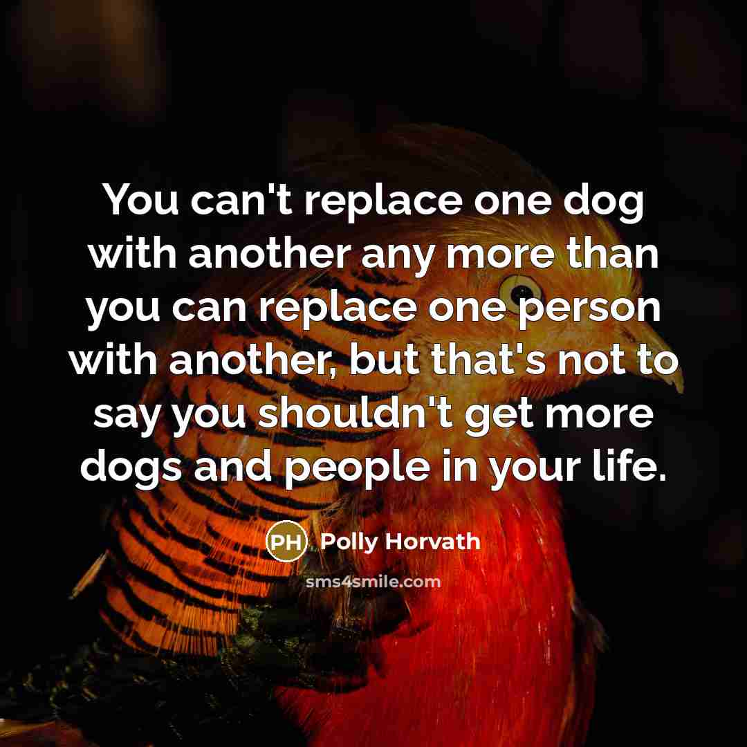 “You can't replace one dog with another any more than you can replace one person with another, but that's not to say you shouldn't get more dogs and people in your life.” quote by Polly Horvath