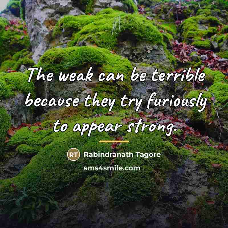 “The weak can be terrible because they try furiously to…” quote by Rabindranath Tagore