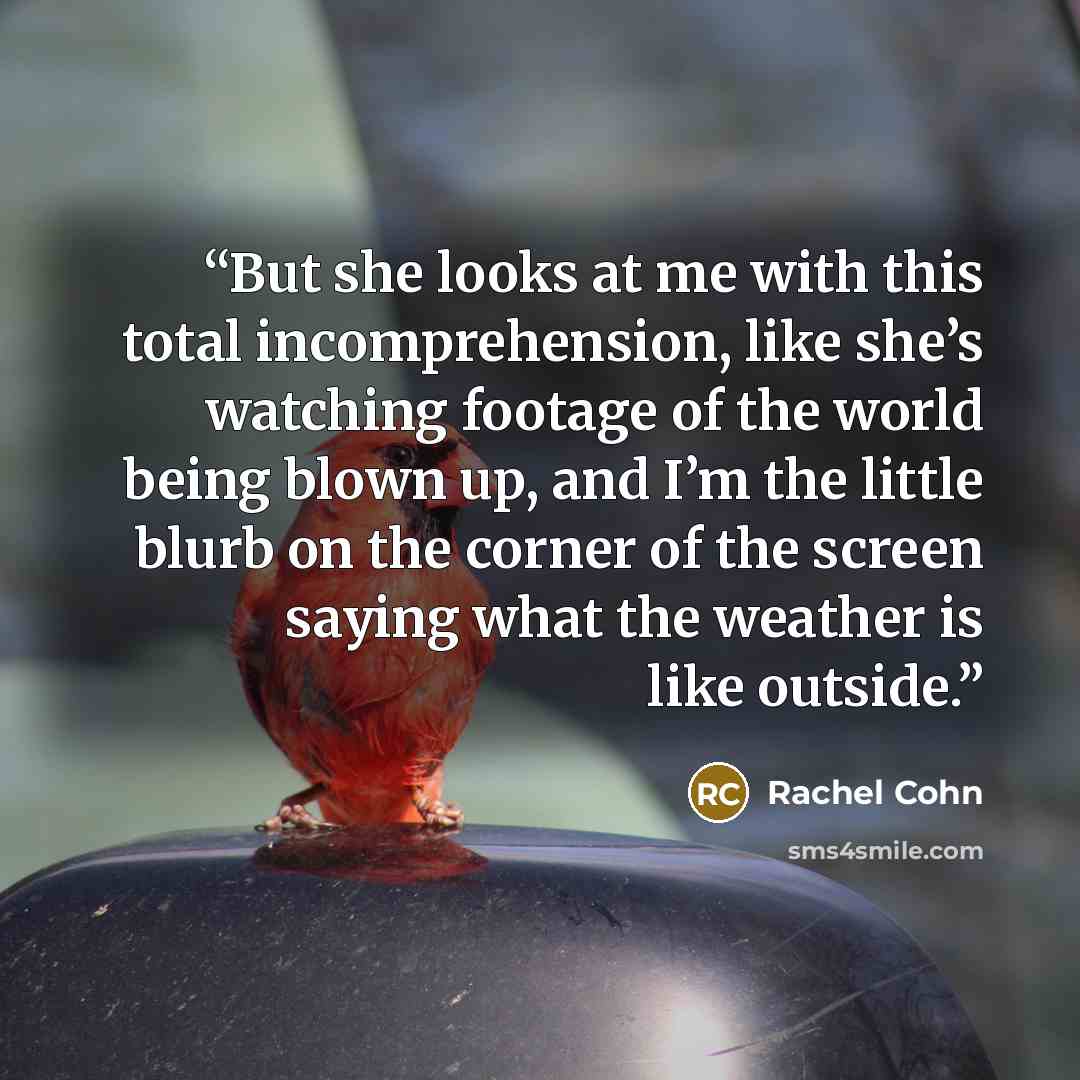 “But she looks at me with this total incomprehension, like she’s watching footage of the world being blown up, and I’m the little blurb on the corner of the screen saying what the weather is like outside.” quote by Rachel Cohn