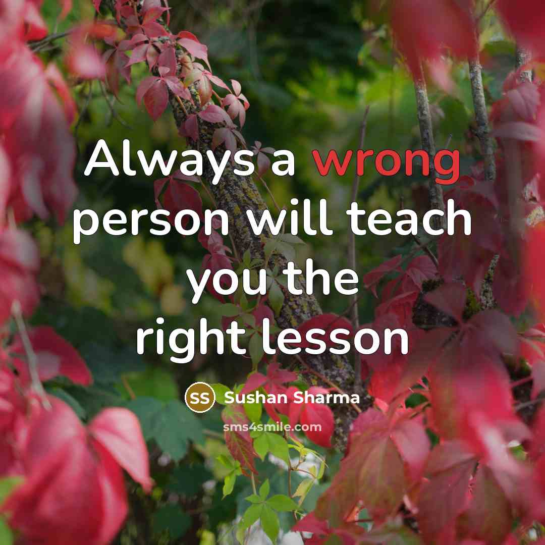 “Always a wrong person will teach you the right lesson…” quote by Sushan Sharma