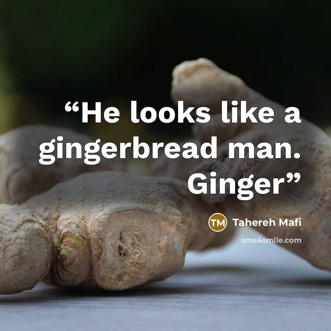 “He looks like a gingerbread man. Ginger” quote by Tahereh Mafi